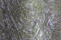 Shopwyke fibreglass roof work